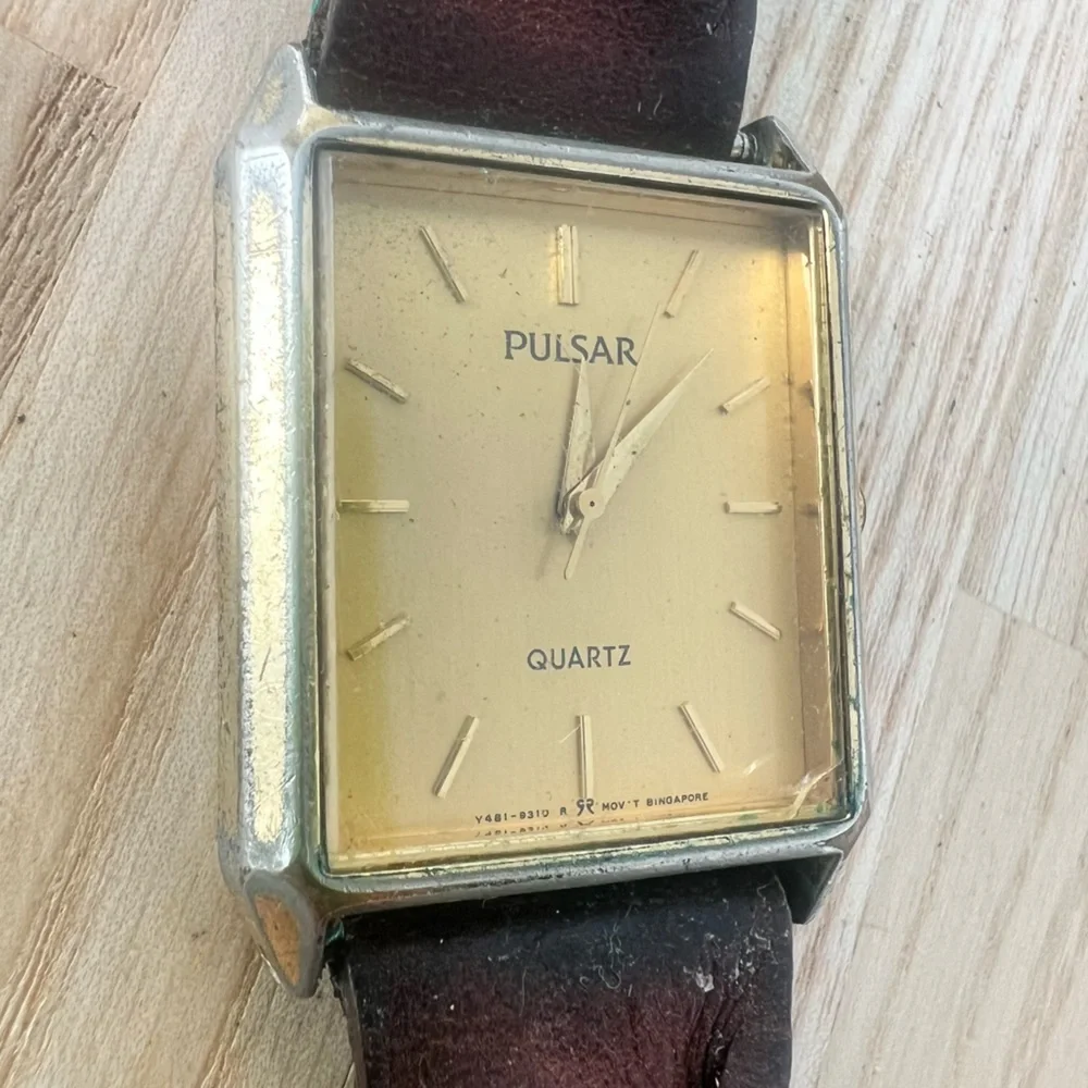Pulsar brand model
